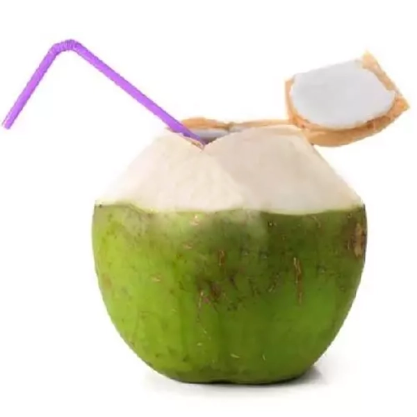KELAPA H