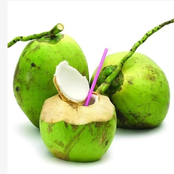 KELAPA PANDAN (THAILAND)