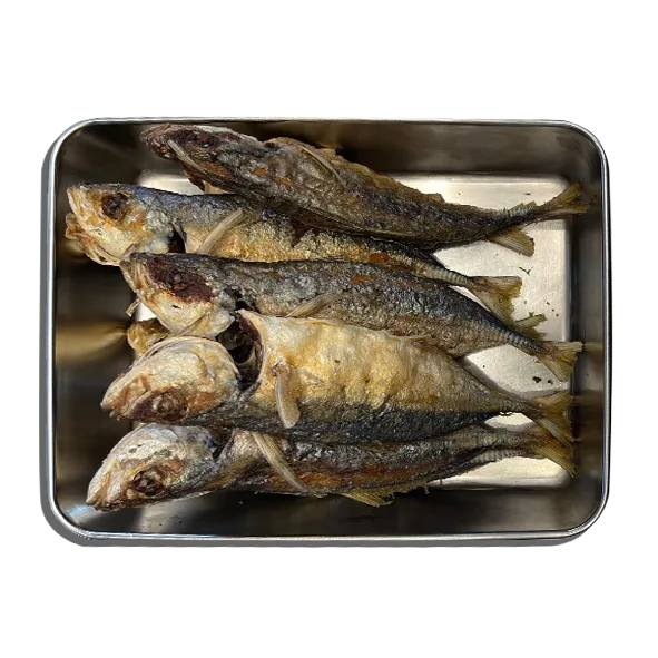 Ikan Kembung