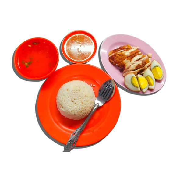Nasi Ayam Telur