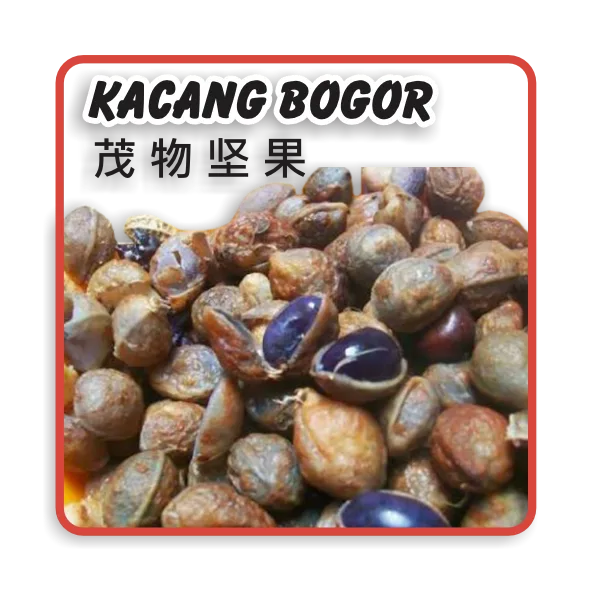 Kacang Bogor