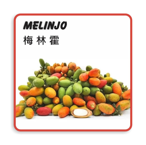 Melinjo