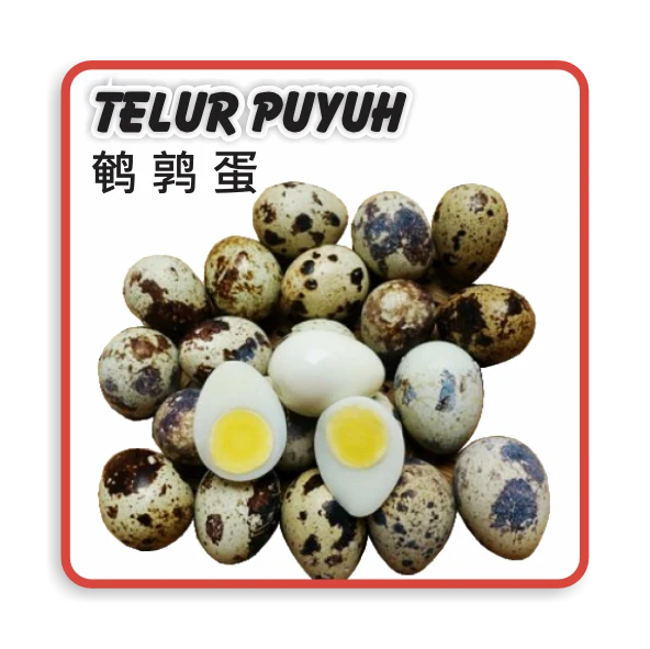 Telur Puyuh