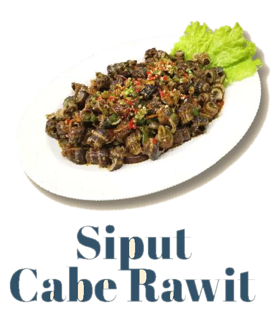 Siput Cabe Rawit
