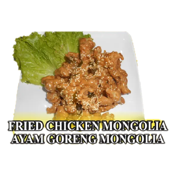 Ayam Goreng Mongolia