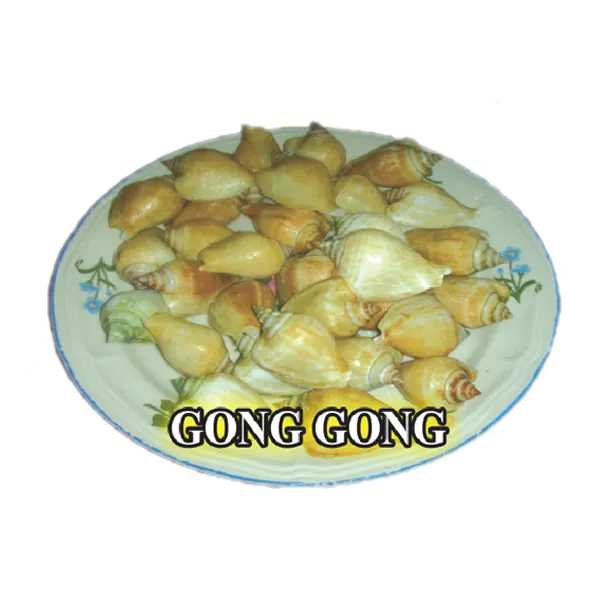 Gong Gong