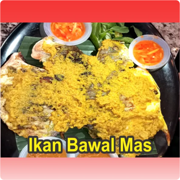 Ikan Bawal Mas