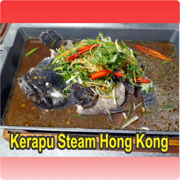 Kerapu Steam Hongkong