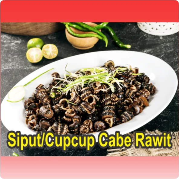 Siput/Cupcup Cabe Rawit